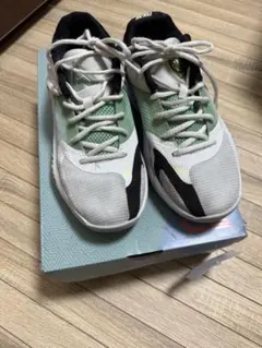 即日発送✰NIKE ズーム フリーク 4 25.5cm日本国内正規品 2025年最新】ズームフリーク4の人気アイテム - メルカリ