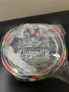 ポケモン 発見大作戦 クリアポーチとキーホルダーセット