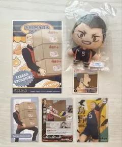 ハイキュー‼︎田中龍之介まとめ売り