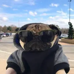 Nori 沖縄 送料2000円