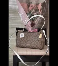 Coach ブラウン ショルダーバッグ