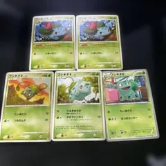 ポケモンカード フシギダネ ゼニガメ プロモ あわ つるのムチ 11枚