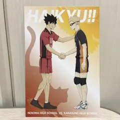 ハイキュー ゴミ捨て場の決戦 ポストカード 黒尾鉄朗 月島蛍 アニメイト特典