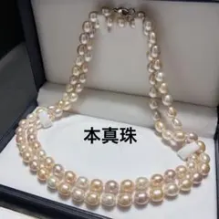 マルチカラー✨ あこや真珠 パールネックレス SV925 5.0-8.5mm - メルカリ