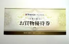 ヤマダ電機　YAMADA HLDGS. お買物優待券 10枚セット