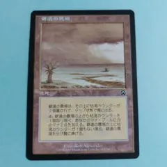 26294 MTG マジック:ザ・ギャザリング ヒッコリーの植林地 - メルカリ