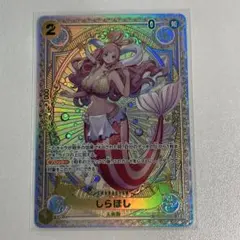 2026年最新】しらほし sp srの人気アイテム - メルカリ