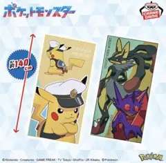 2025年最新】ポケットモンスター マイクロファイバータオルの
