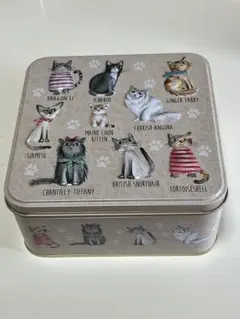 【空き缶】カルディ　お菓子缶　クッキー缶　猫　グランマワイルズ