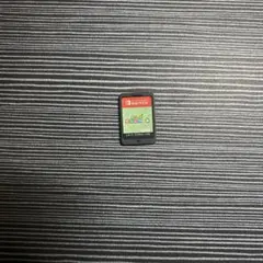 Nintendo Switch あつまれどうぶつの森カセット