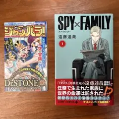 【初版・帯・ジャンパラ付き】SPY×FAMILY 1巻