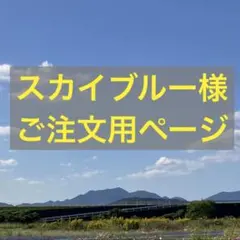 スカイブルー様ご注文用ページ