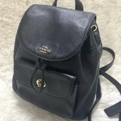 コーチ COACH レディース シボ革 ミニリュック バッグパック黒色