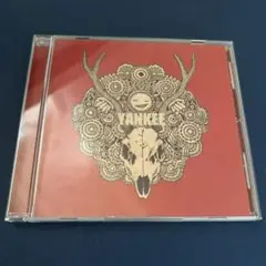 米津玄師 YANKEE