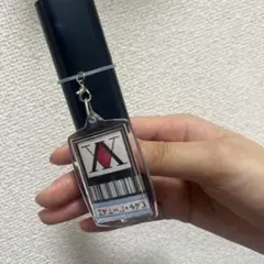 HUNTER×HUNTER ハンターライセンス めじるしチャーム