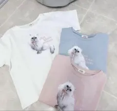 evelyn 白猫ちゃんTシャツ ブルーのサムネイル