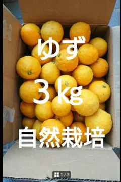 ☆ゆず 花柚子/ 農薬不使用/ 自然栽培/ 自然農法 /3kg