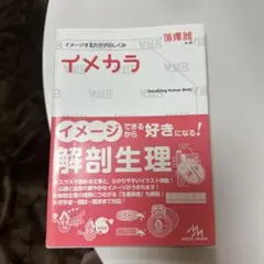 イメカラ Visualizing Human Body