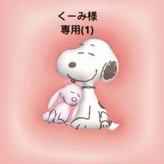 くーみ様 リクエスト 9点 まとめ商品