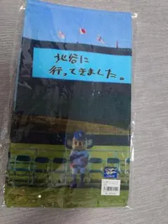 【新品　未開封】ドアラ　2024　中日ドラゴンズ　 フェイスタオル