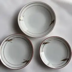 竹模様の皿 3サイズ　26枚セット