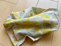 Item thumbnail for item 6f464443-c91b-4571-bf43-f9392a9d3c8a