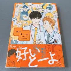 憎か愛しか 帯付き