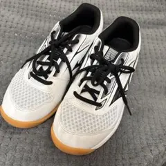 Mizuno Cyclone Speed 5 卓球バレーシューズ24.5cm