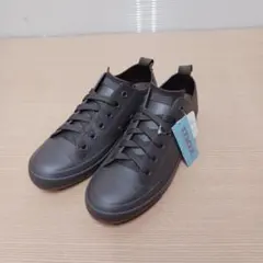 Item thumbnail for item 887286bc-83aa-40d6-99a8-6a7e69fa5d6e