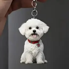 shoko様 リクエスト 3点 まとめ商品