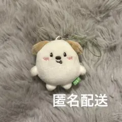 アントン モンリョンイ ミニドールキーリング