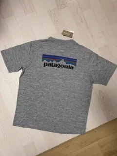 Patagonia メンズTシャツ