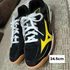 Mizuno 卓球シューズ ブラック/イエロー24.5cm