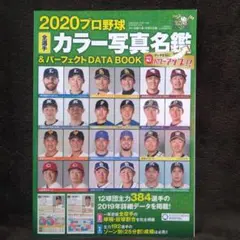 プロ野球全選手カラー写真名鑑&パーフェクトDATA BOOK 2020