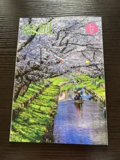 Rimpuu 3月号