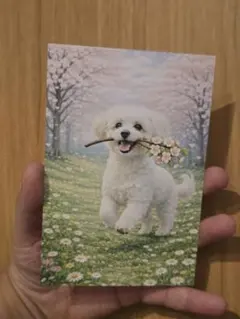 Item thumbnail for item affcdc2e-2e6c-4979-9595-48129163960f