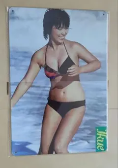 Item thumbnail for item 6ec38999-a7c4-4309-9e83-853af6e357cf