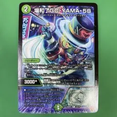 バロンゴーヤマ