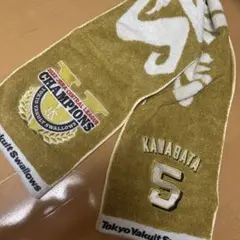 東京ヤクルトスワローズ 川端 5 タオル