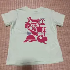 Patagonia ライトグリーン Tシャツ 2T