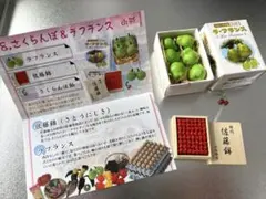 2026年最新】リーメント うまいもん市場の人気アイテム - メルカリ