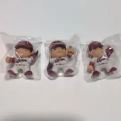 カプケシ2026　3個セット