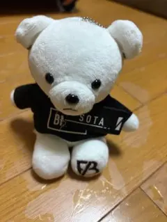 SOTA ぬいぐるみ　2体セット 2026年最新】sota くまの人気アイテム - メルカリ