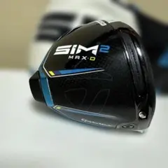 SIM2 MAX D 10.5 ヘッドのみカバー付