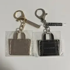 Item thumbnail for item 7d88978f-1d2e-4c8c-8b14-e652717304ef