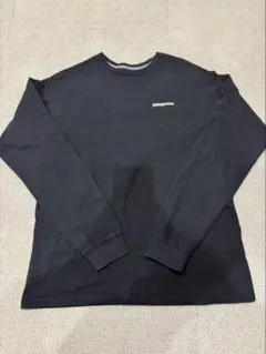 パタゴニア Tシャツ