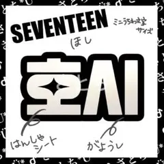 セブチ ホシ スニョン 顔うちわ文字　うちわ文字　ネームボード　トレカ　グッズ