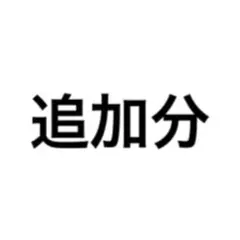 追加分