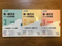 新・現代文 レベル別問題集 1-3 セット