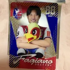ファジアーノ岡山 プラスチックカード 柳貴博